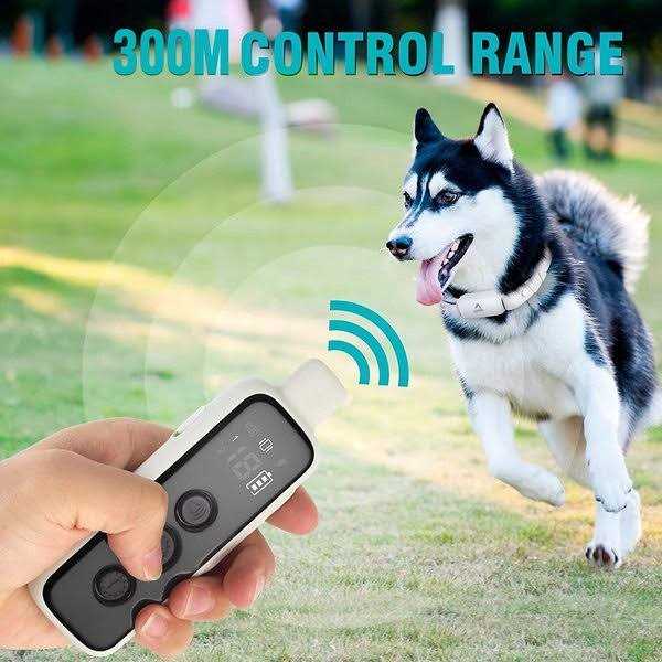 Anti-Bark Remote Dog Training Collar O5472