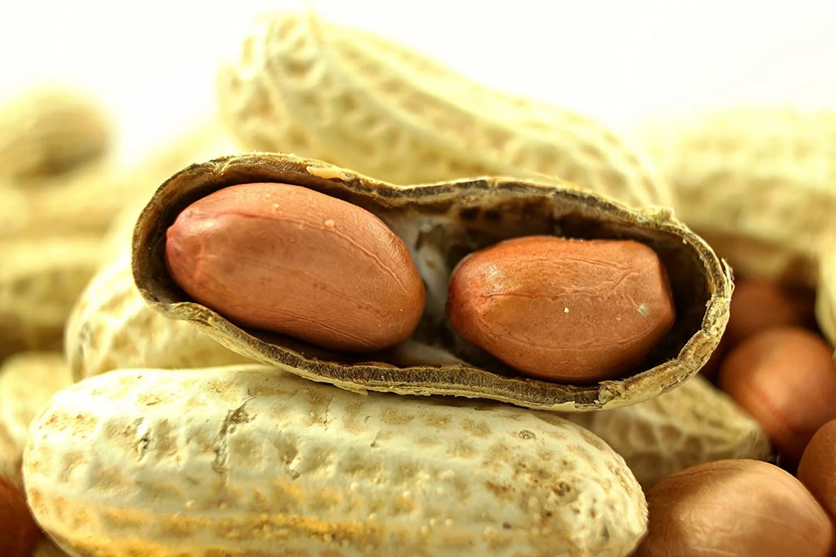 Extra Large Peanuts 50 LBS K385855