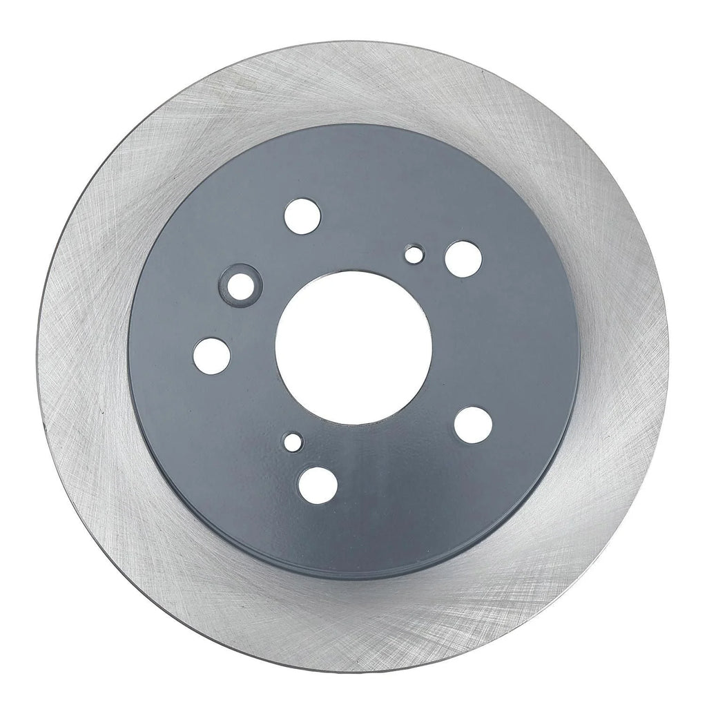 Painted Brake Rotor N806