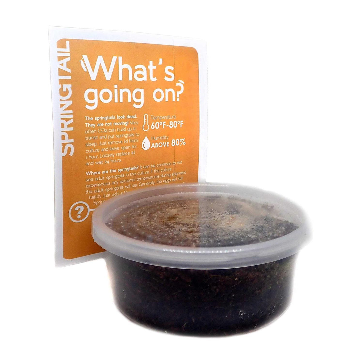 Temperate Springtail 8 oz Culture E863662