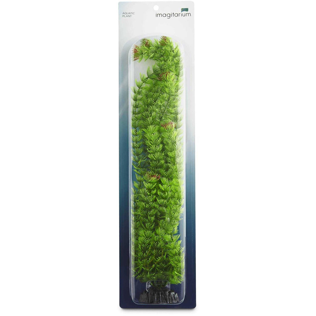 Extra Large Green Plastic Ambulia S750715