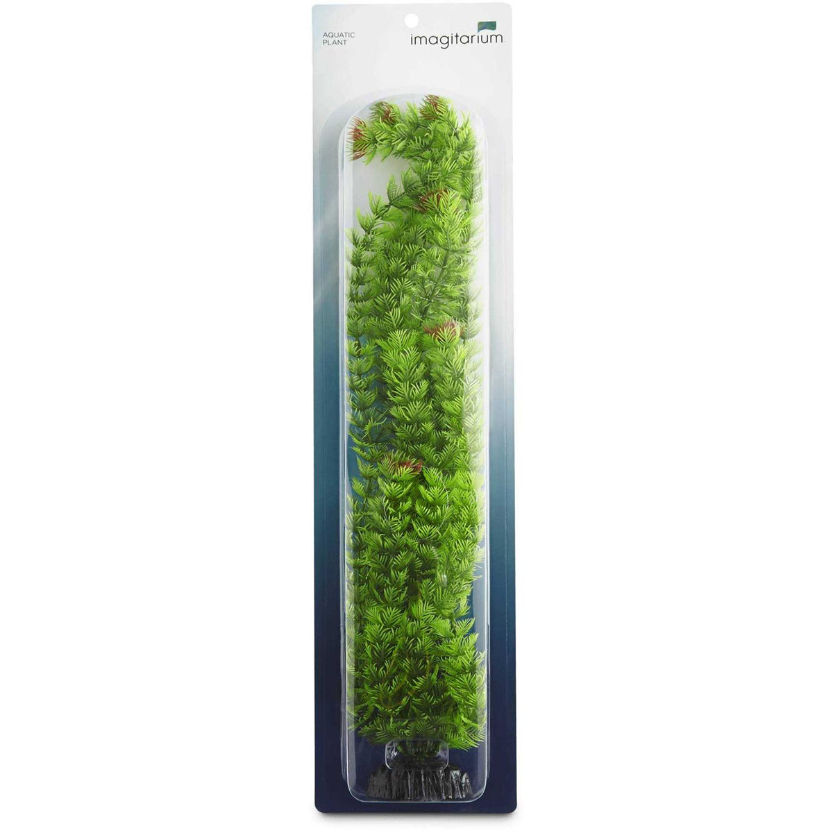 Extra Large Green Plastic Ambulia S750715