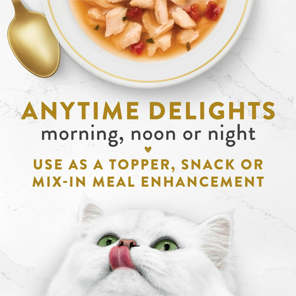 1.4 oz Wet Cat Food with Wild Salmon E87601