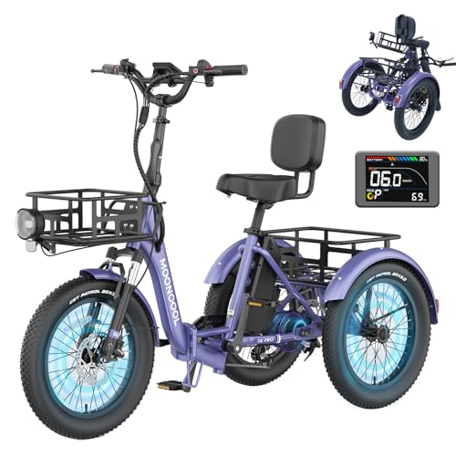 Folding Electric Tricycle with Aluminum Frame and Removable Battery C125