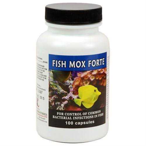 Fish Flex Forte 500 mg 100 Capsules N120319
