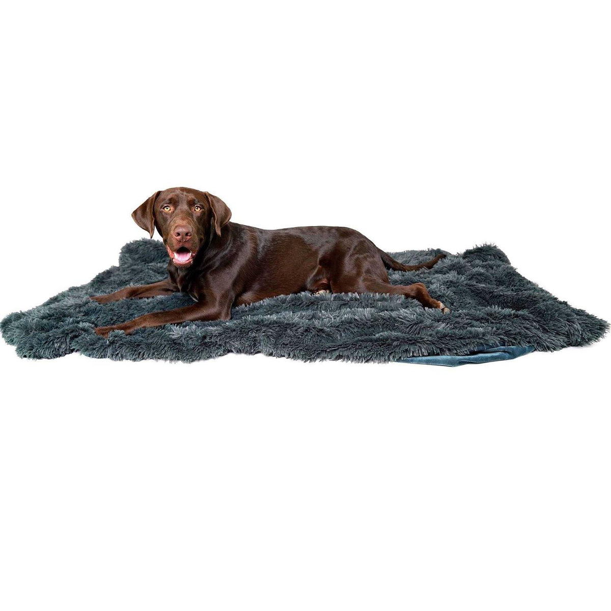 Throw Blanket A482501