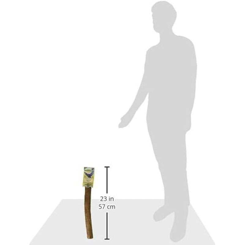Hardwood Bird Perch T2473