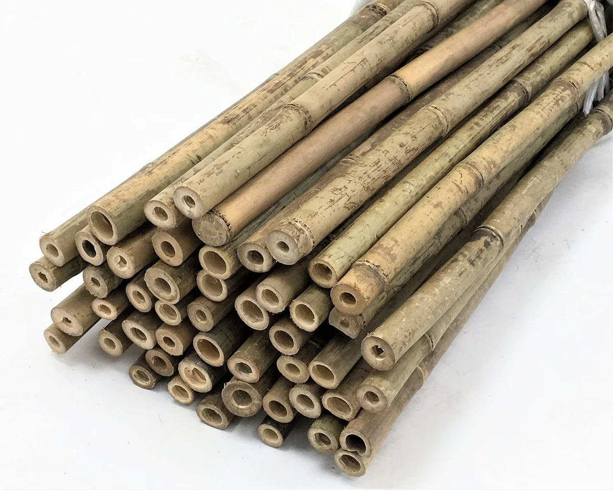 6' Natural Bamboo Garden Stakes (25 Pieces) S100227