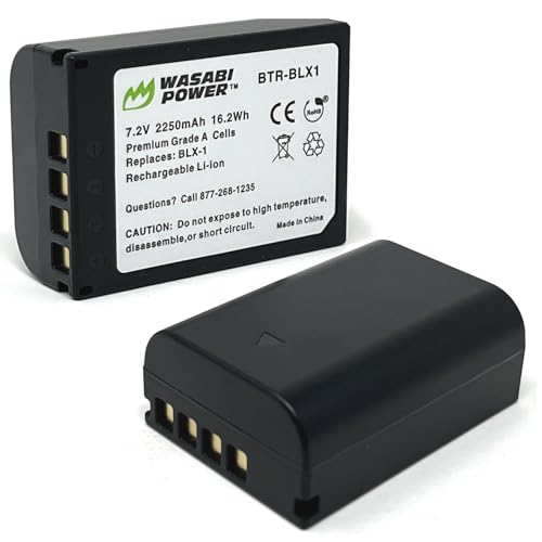 Battery 2-Pack S54117