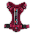 Harness W260103