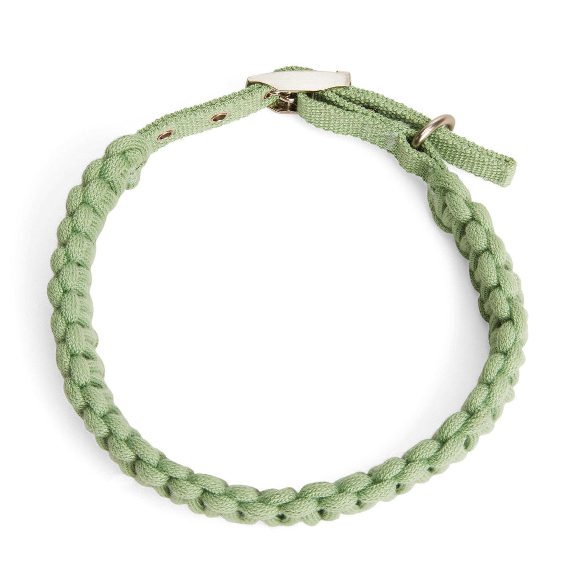 Macrame Dog Collar I429617