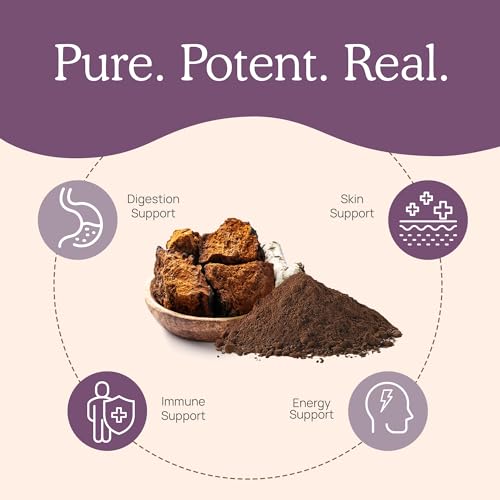 Organic Chaga Mushroom Powder Supplement, 60 Servings I623