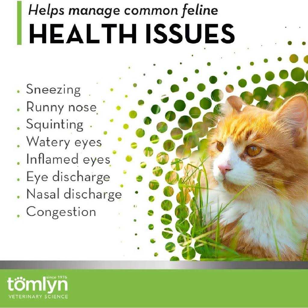 L-Lysine Immune Support Gel for Cats B18738
