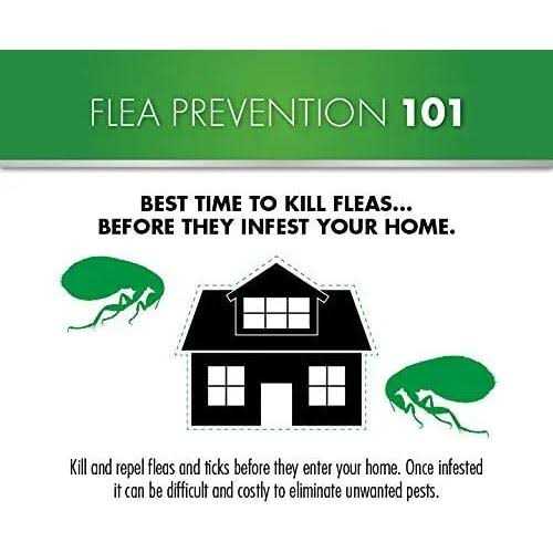 Flea Protection for Small Cats V40768