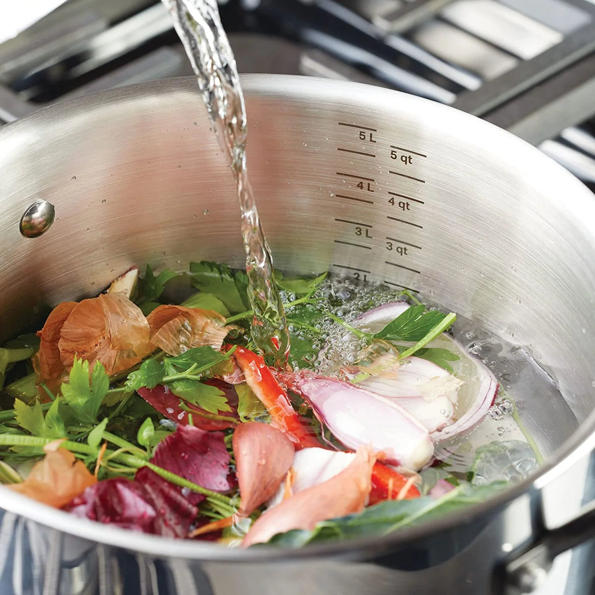5-Ply Clad Polished Stainless Steel Stock Pot with Lid, 6 Quart E395359