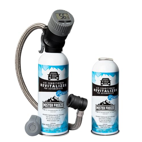 R134a Refrigerant Car AC Recharge Kit 14 Oz N70615