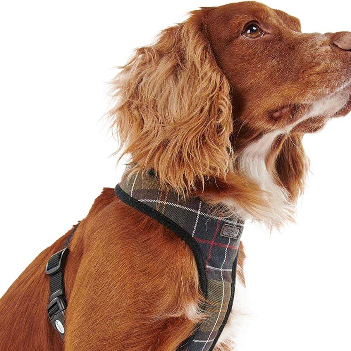 Tartan Dog Harness F364180
