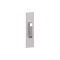 Polished Brass Pull Plate L224