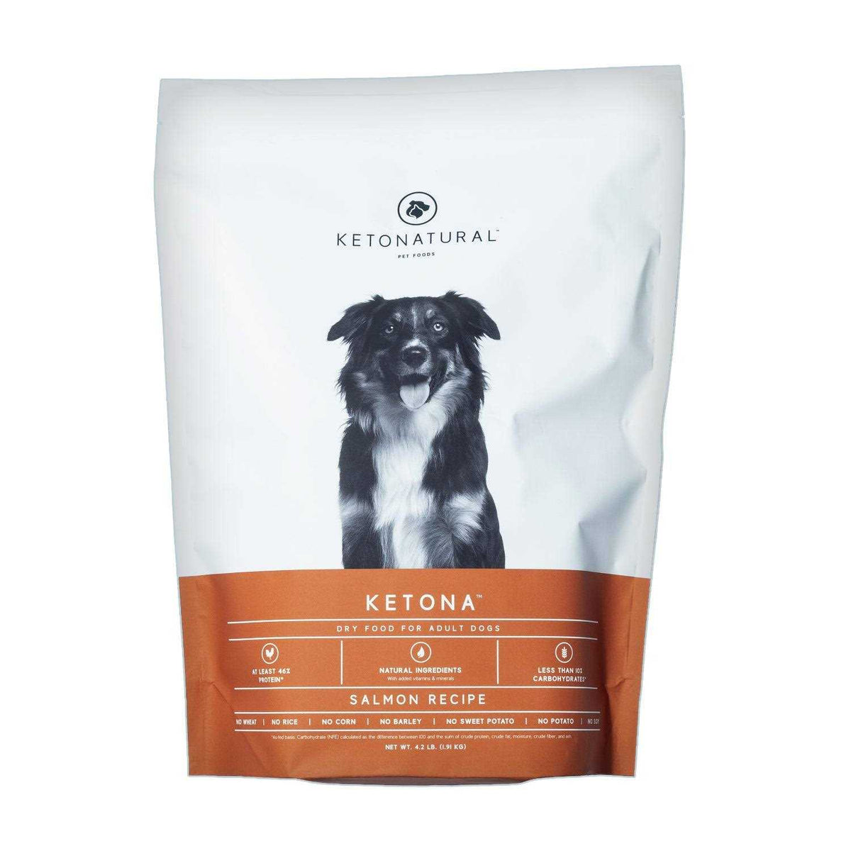 Salmon Recipe Adult Dry Dog Food Low Carb High Protein C89769