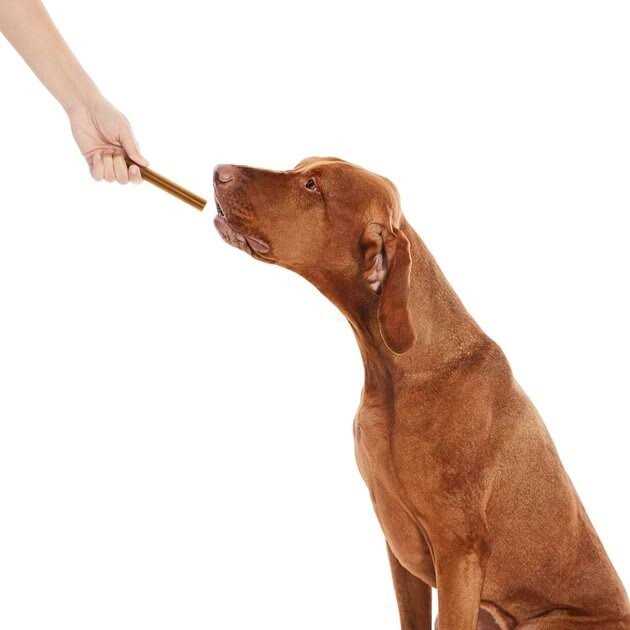All-Natural Dental Chew Sticks K4351