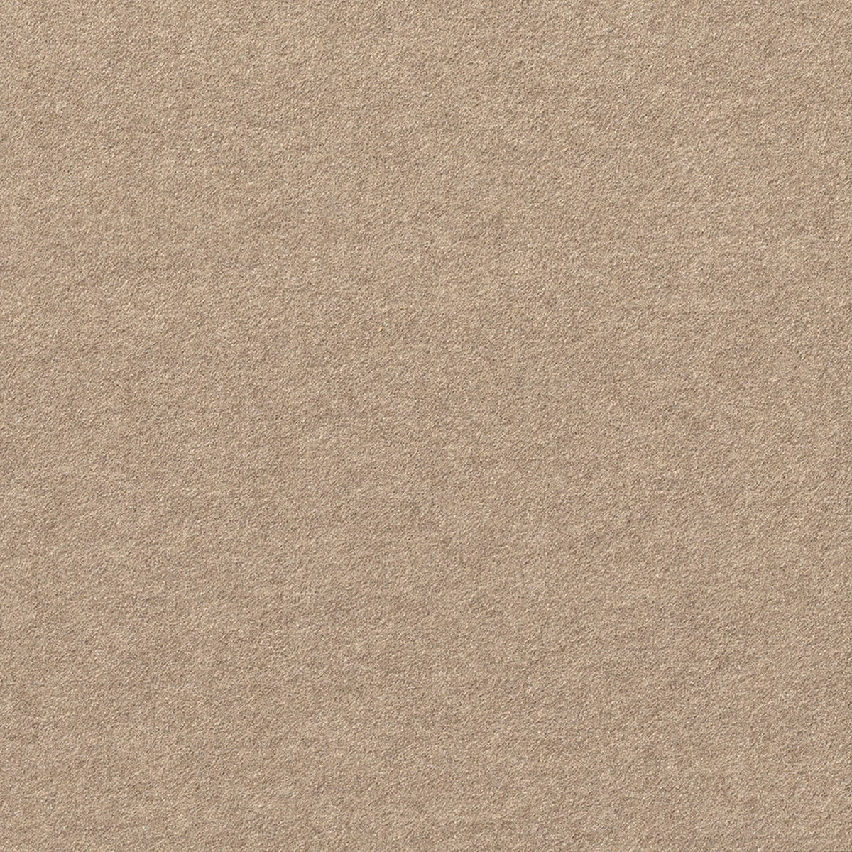Contempo Carpet Tiles 15 Tiles/Case Taupe N319960