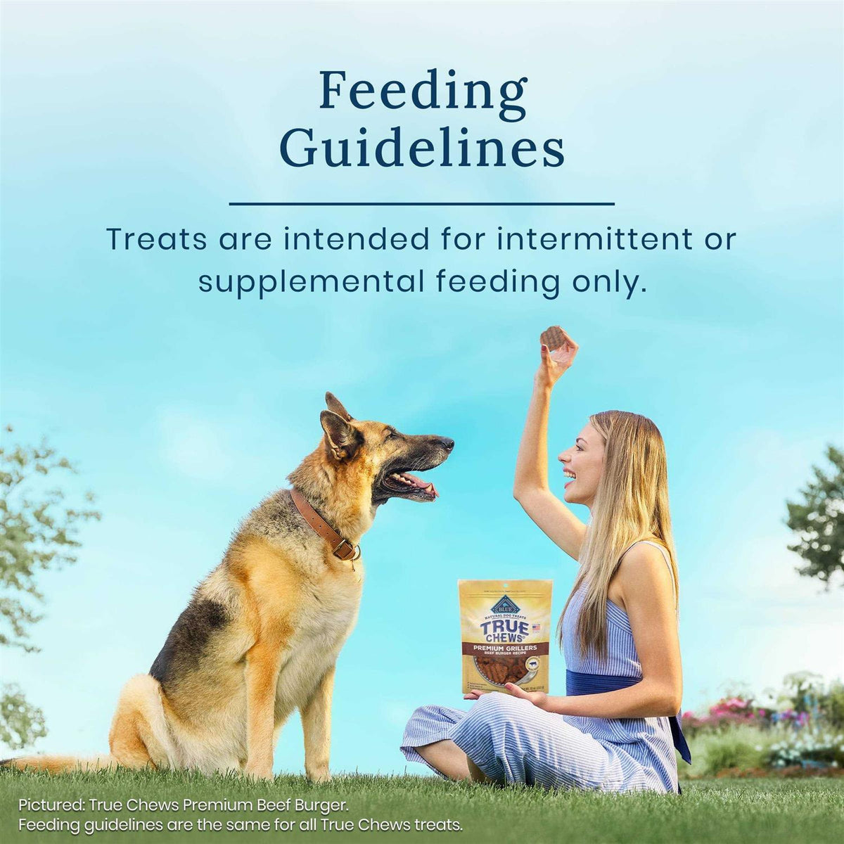 Natural Steak Dog Treats Q328700