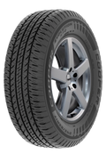 245/65R17 107T All-Season Tire P243