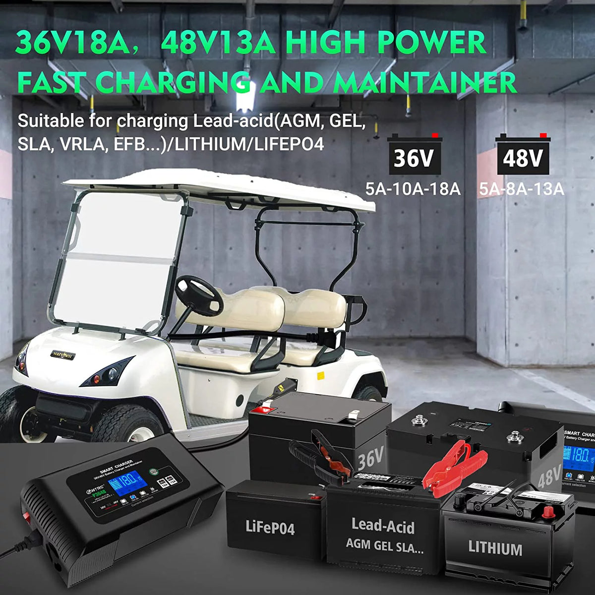 36V/48V 18-Amp Smart Golf Cart Battery Charger D5494