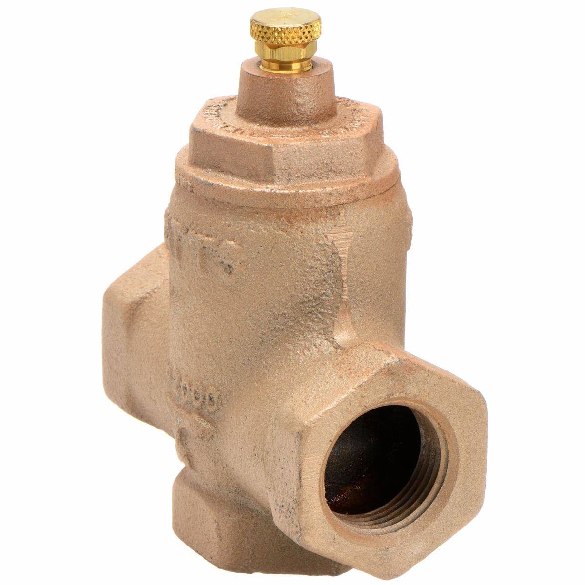 1-1/4 In Cast Iron Flow Check Valve V640625