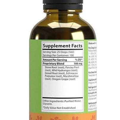 Natural Remedy for Kidney Disease and Kidney Failure in Cats M49402