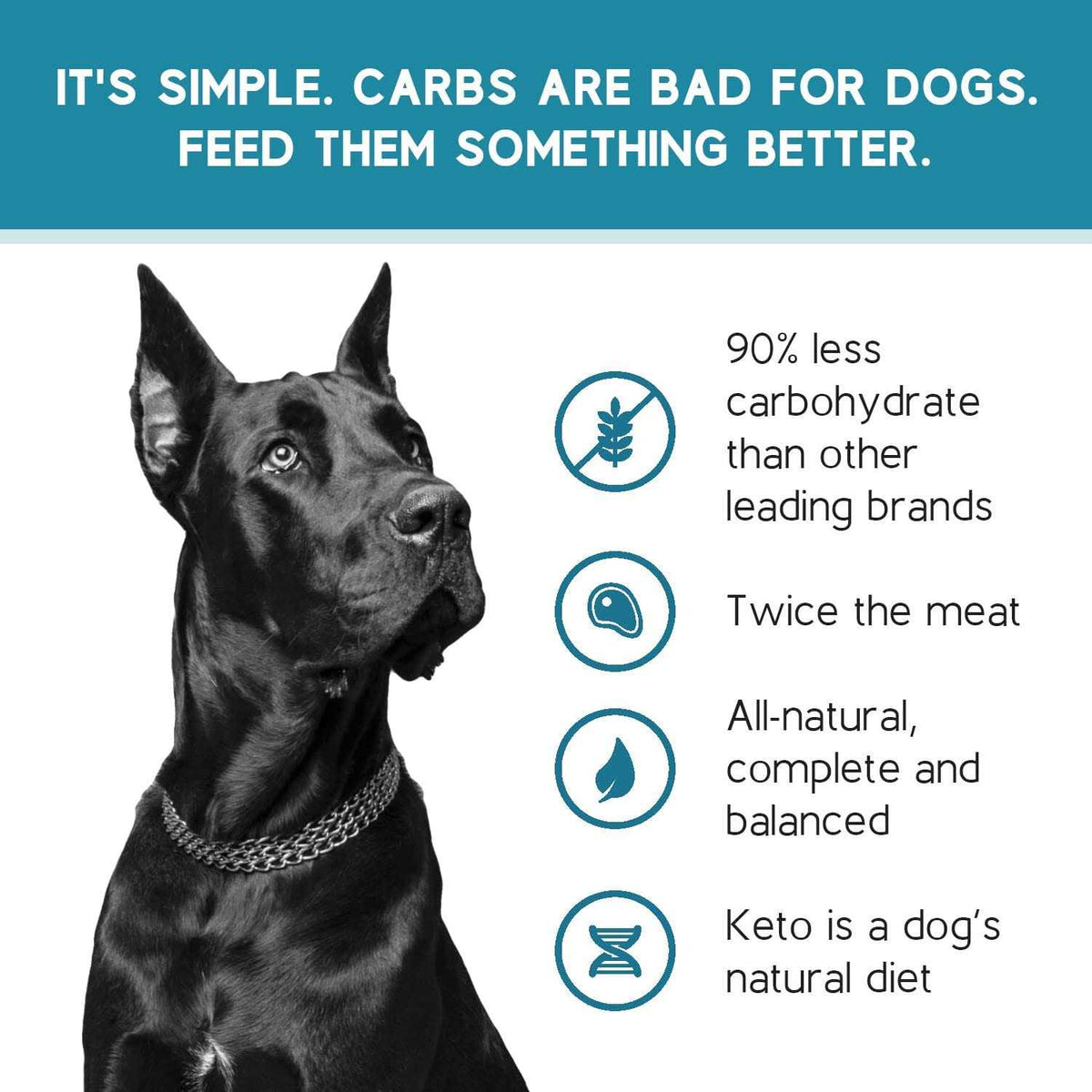 Salmon Recipe Adult Dry Dog Food Low Carb High Protein C89769