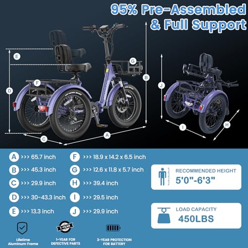 Folding Electric Tricycle with Aluminum Frame and Removable Battery C125