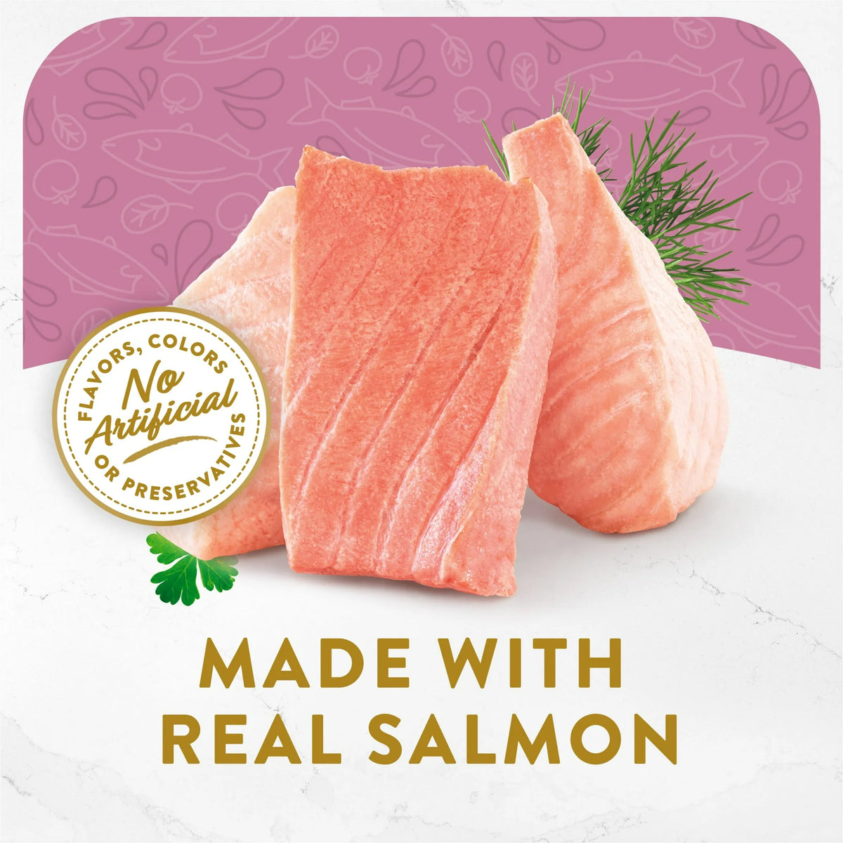 1.4 oz Wet Cat Food with Wild Salmon E87601