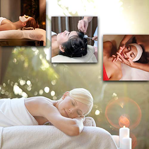 Portable Massage Table 24 inche Wide 2 Folding Heigh Adjustable Spa Table G876