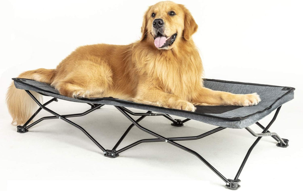 47 inches Large Elevated Dog Bed Cot with Breathable Mesh U23939