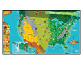 United States of America Map X538346
