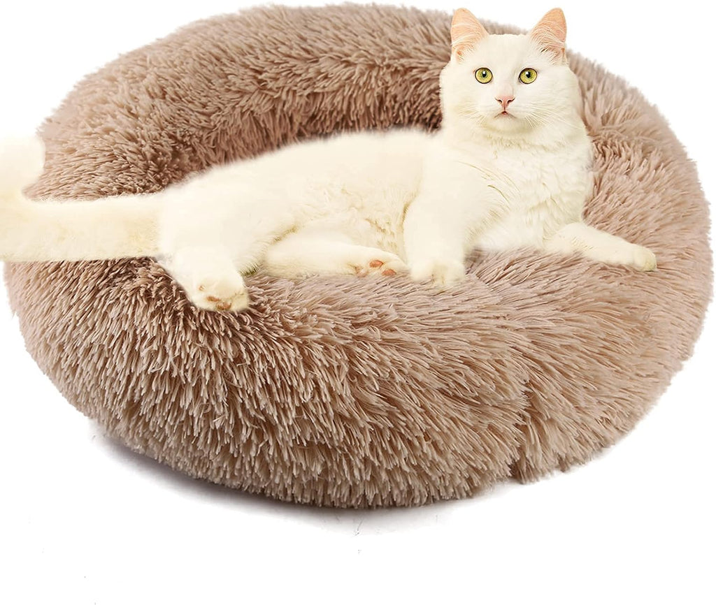 Fluffy Washable Cat Bed 20''X20'' Pack of 2 C47905