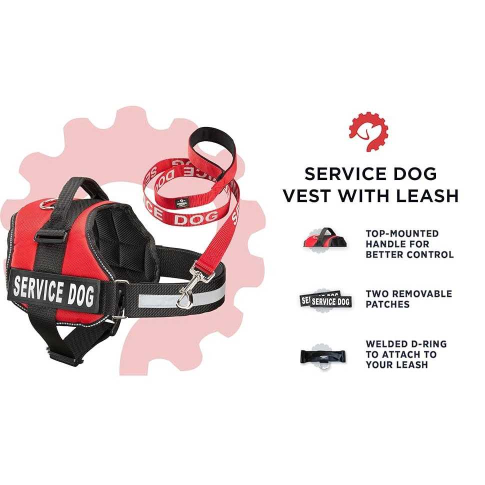 Service Dog Vest with Straps & Leash Set Q596