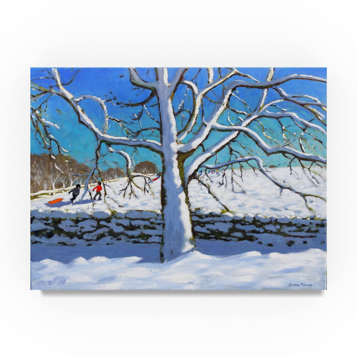 Oil Painting Print on Wrapped Canvas B53013