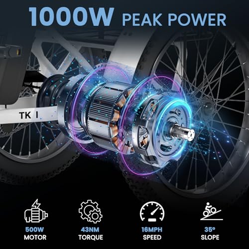 Folding Electric Tricycle with Aluminum Frame and Removable Battery C125