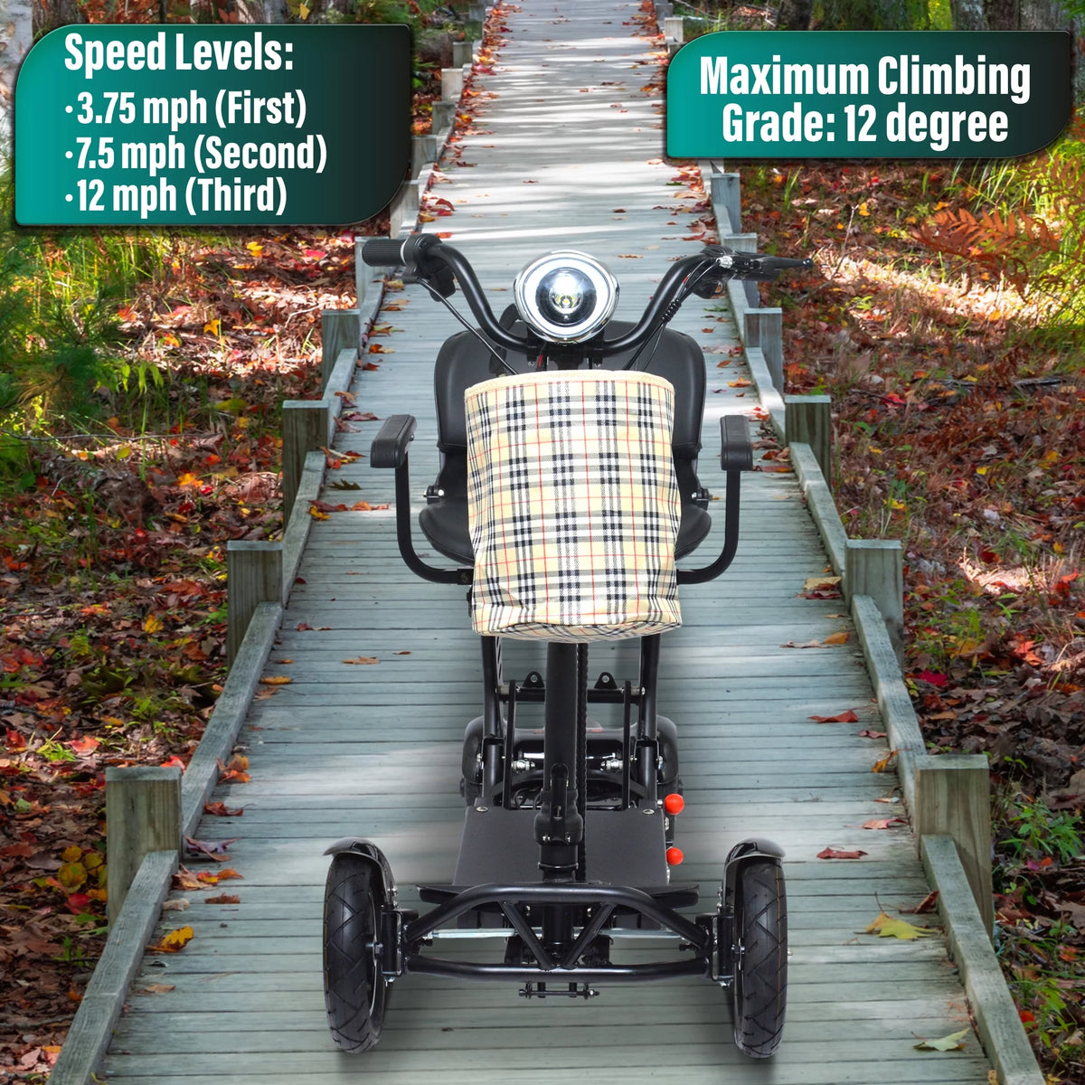 4 Wheel Foldable Powered Mobility Scooter with Seat Z541