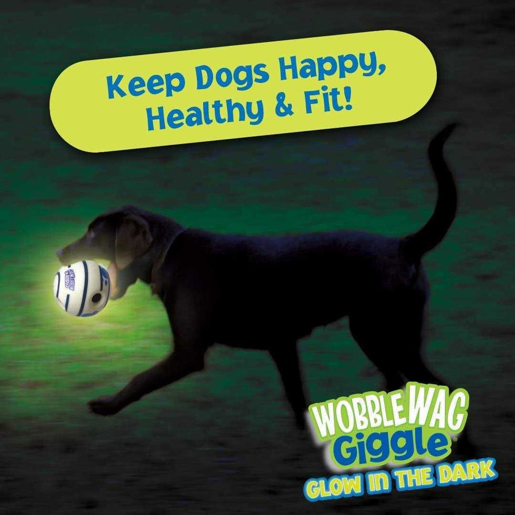 Glow in the Dark Interactive Dog Toy R649751
