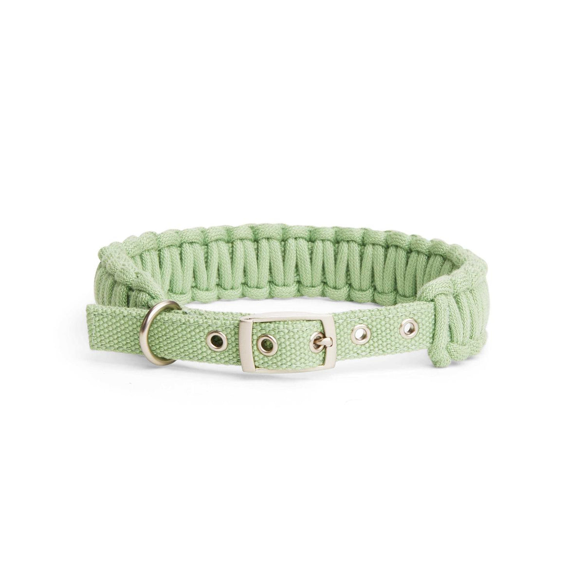 Macrame Dog Collar I429617