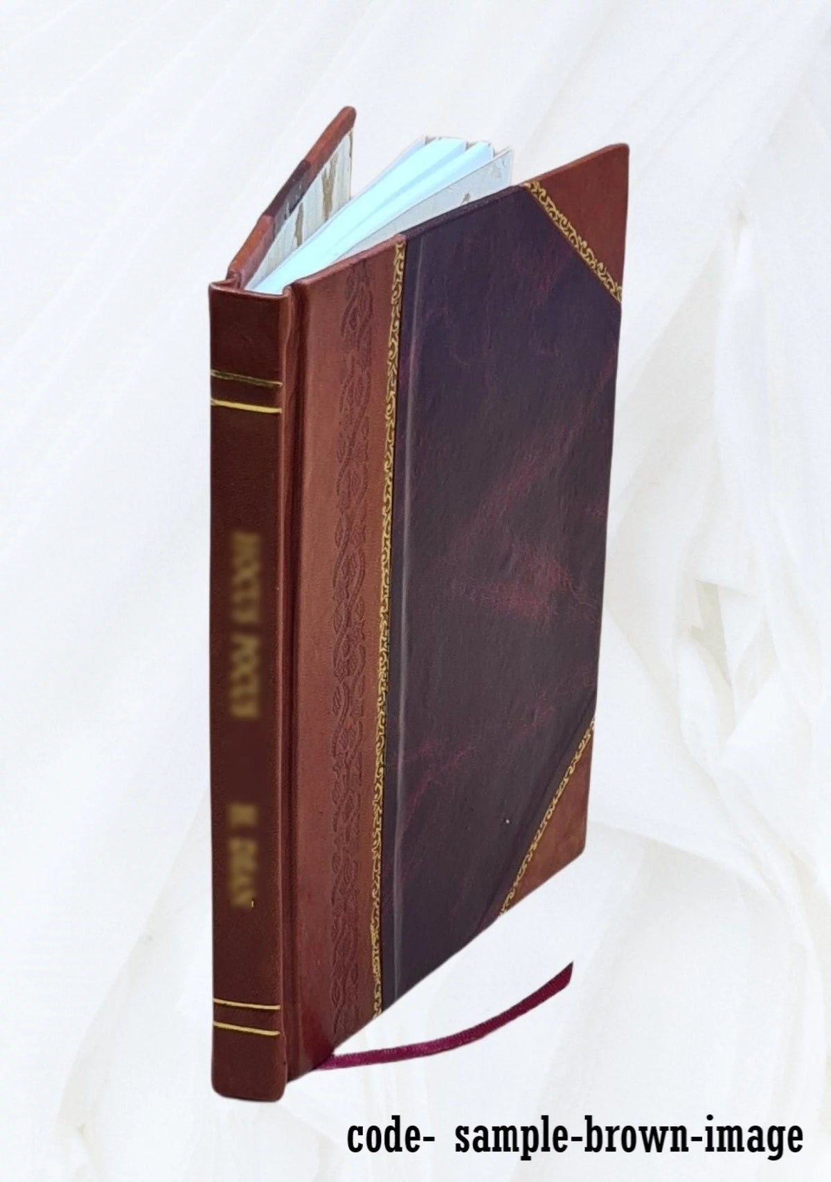 Leather Bound Book E291300