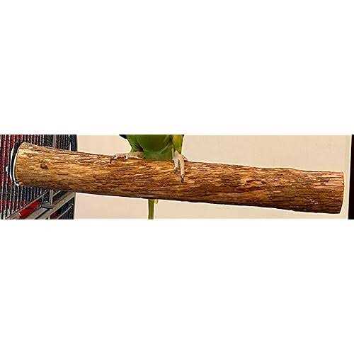 Hardwood Bird Perch T2473