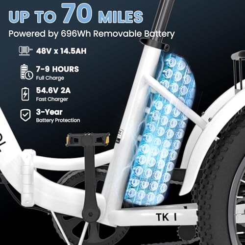 Folding Electric Tricycle with Aluminum Frame and Removable Battery C125