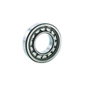 Cylindrical Bearing 45 mm Bore 100 mm R67321