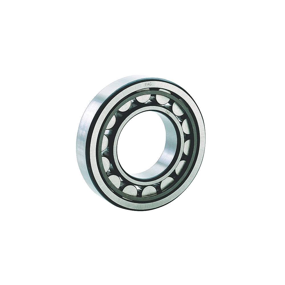 Cylindrical Bearing 45 mm Bore 100 mm R67321
