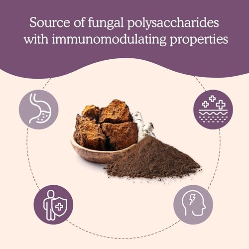 Organic Chaga Mushroom Powder Supplement, 60 Servings I623