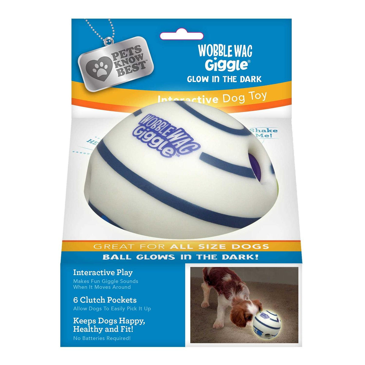Glow in the Dark Interactive Dog Toy R649751
